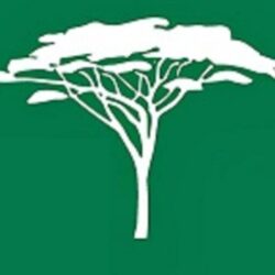 RMJ FLORA